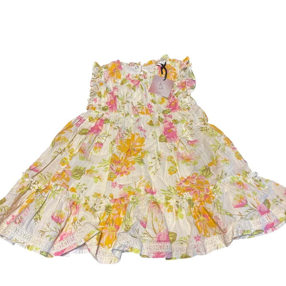 NWT Happily Grey  Kids Toddler Girls Dress Floral Shiny Gold Accent Line Size 3T